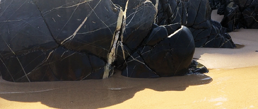 NEO ART CONNECT 2025