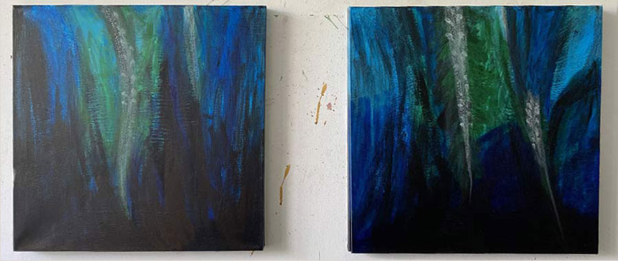 Kelp forest 1-2-2023